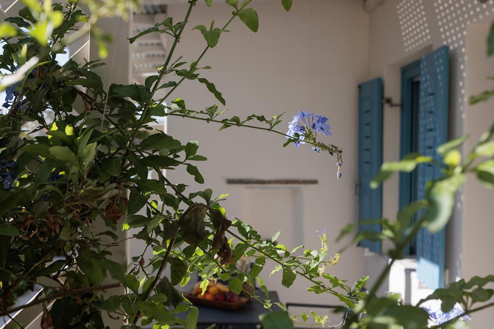 9 Muses Naxos Beach Hotel Kastraki  ภายนอก รูปภาพ